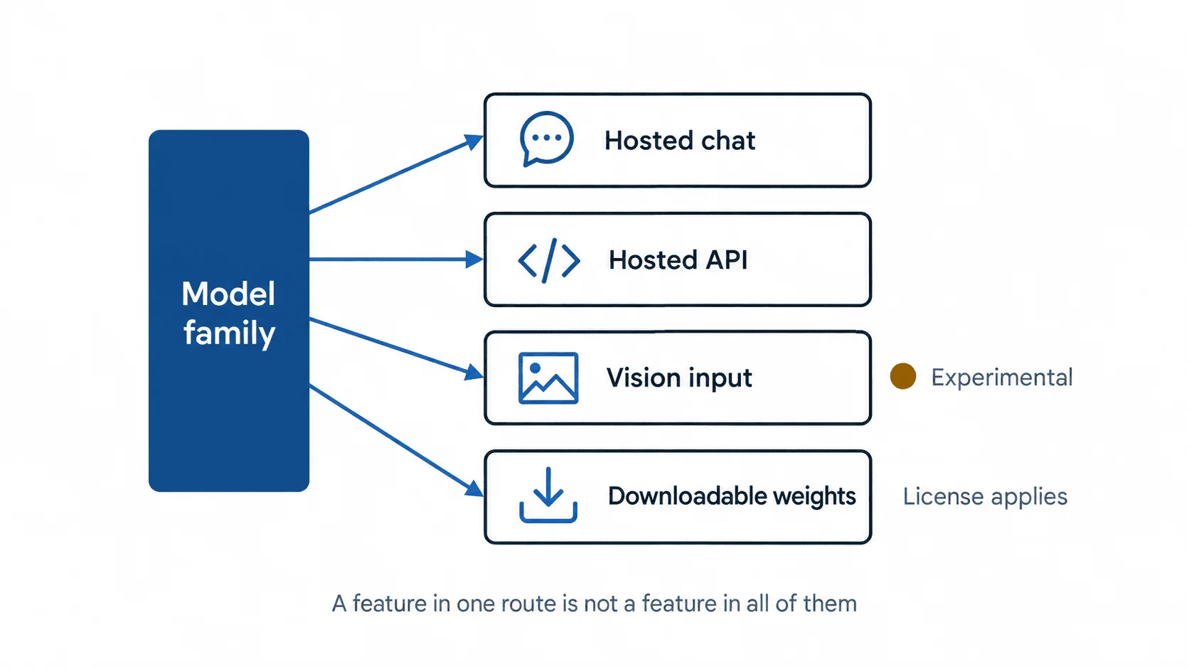 Diagram showing one model family branching into hosted chat, hosted API, vision input and downloadable weights.